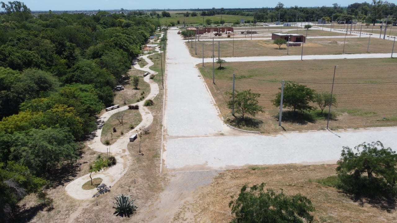 WhatsApp Image 2024-02-06 at 18.15.53