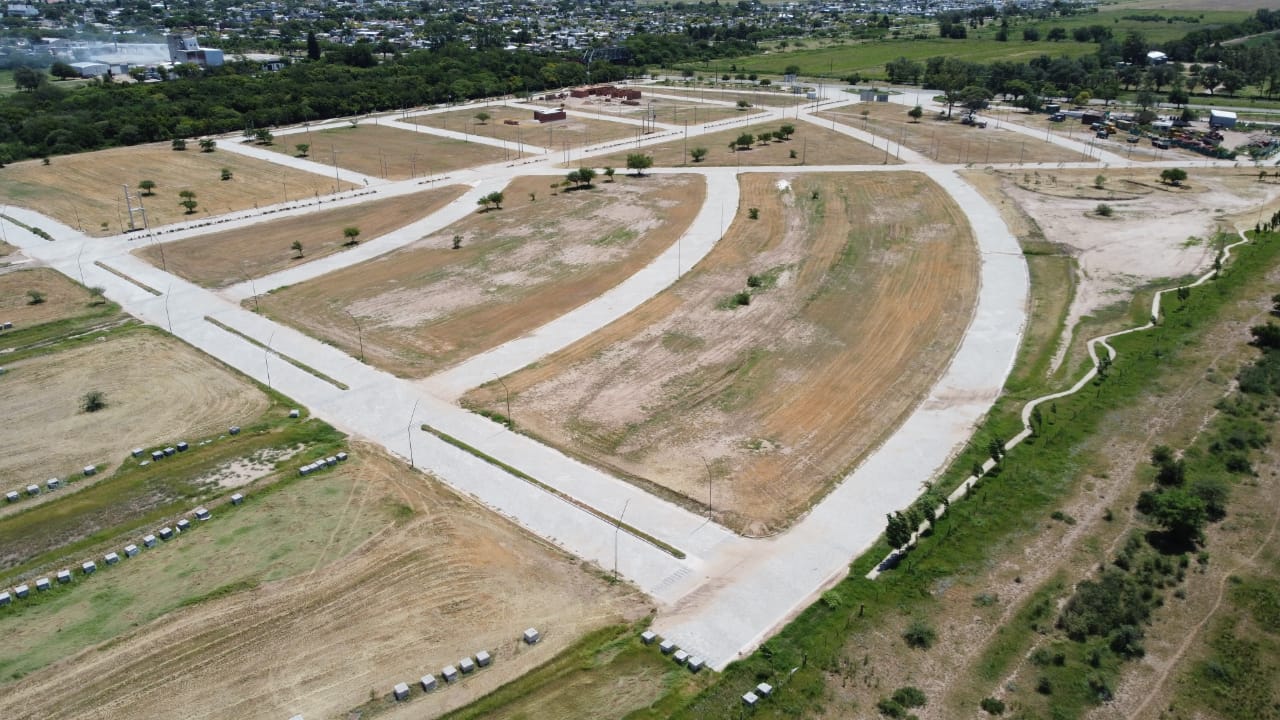 WhatsApp Image 2024-02-06 at 18.15.55